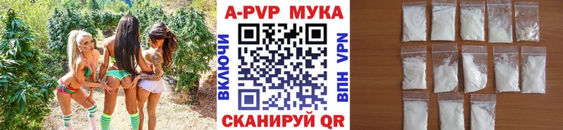 Виды наркотиков купить Нерюнгри АМФЕТАМИН  APVP  МЕФ  Каннабис 