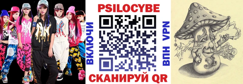 Галлюциногенные грибы Psilocybe  Нерюнгри 